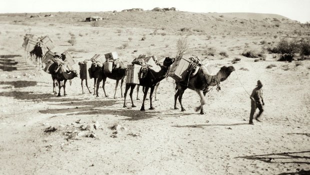afghan cameleers australia