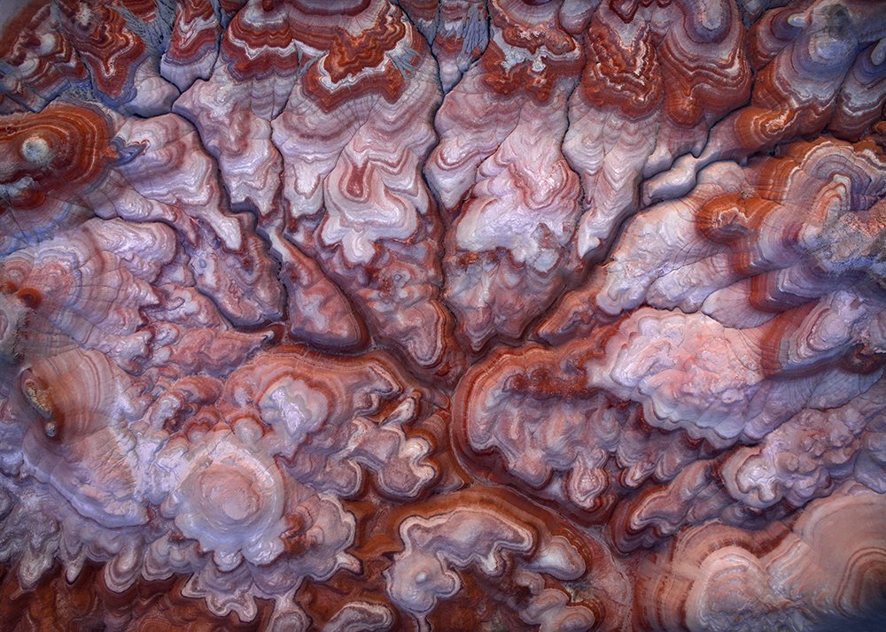 mother brain