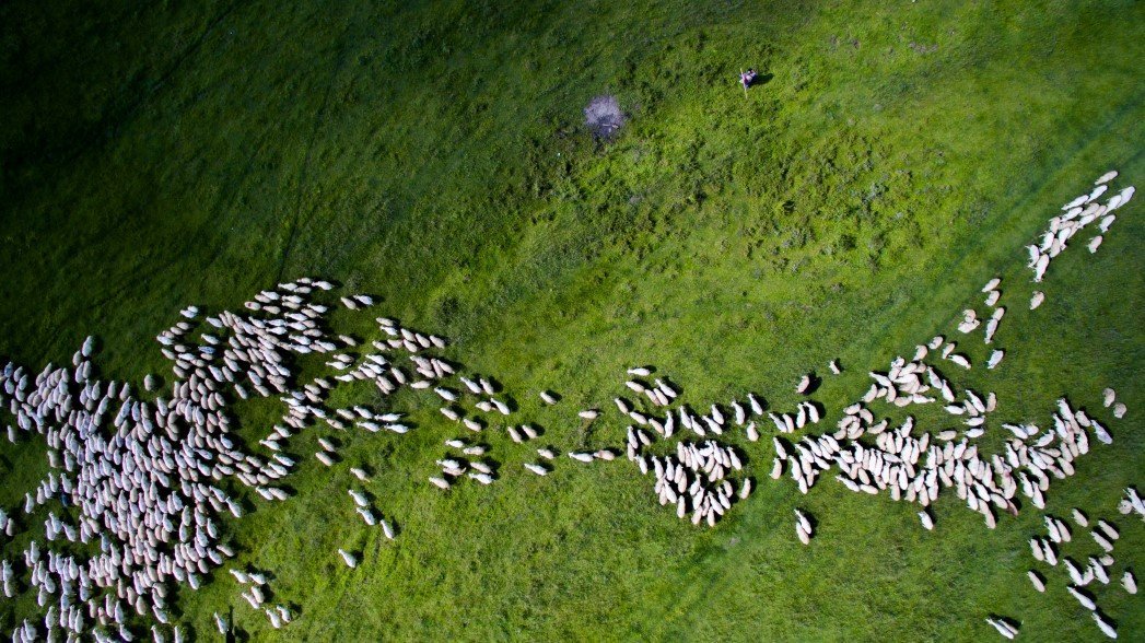 drone photography
