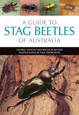 Australian stag beetles