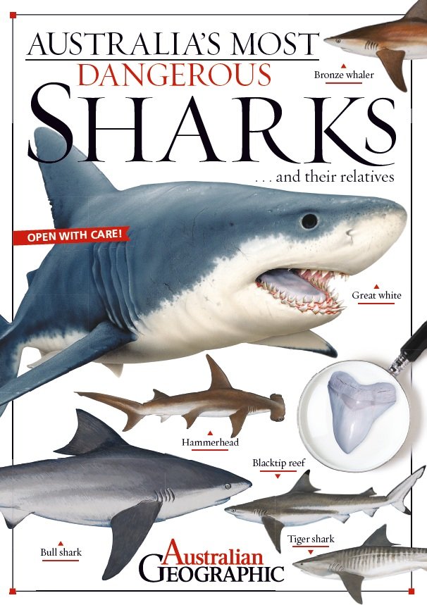 Australia's Most Dangerous Sharks