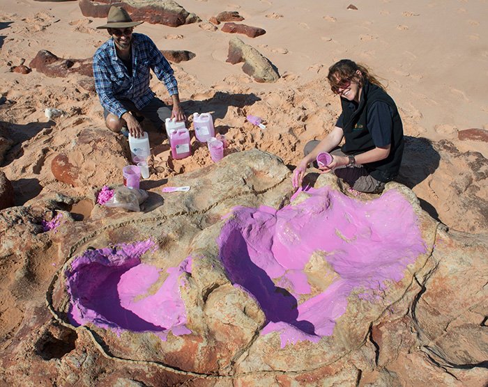 dinosaur coast
