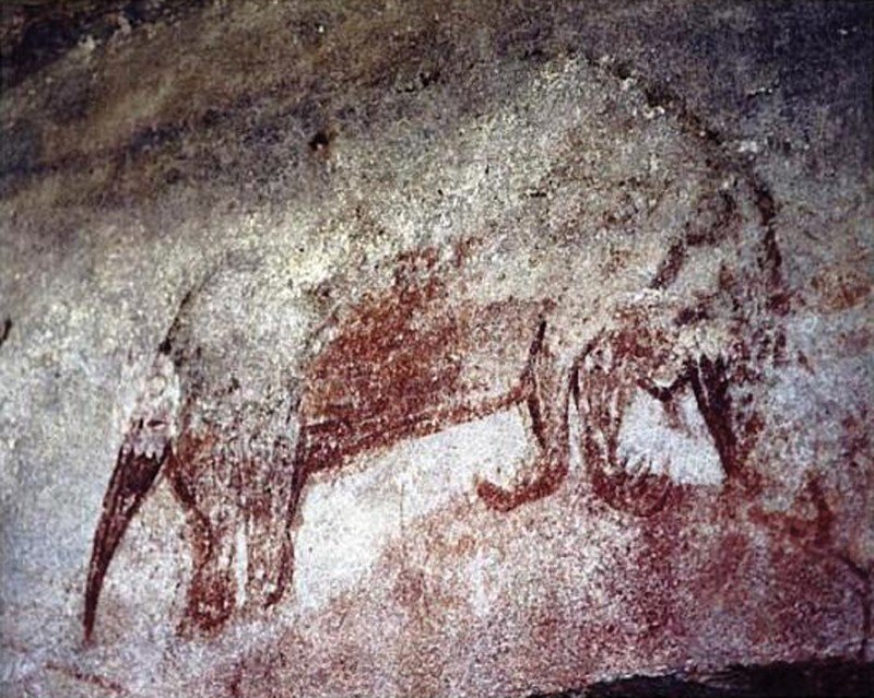 long beaked echidna rock art