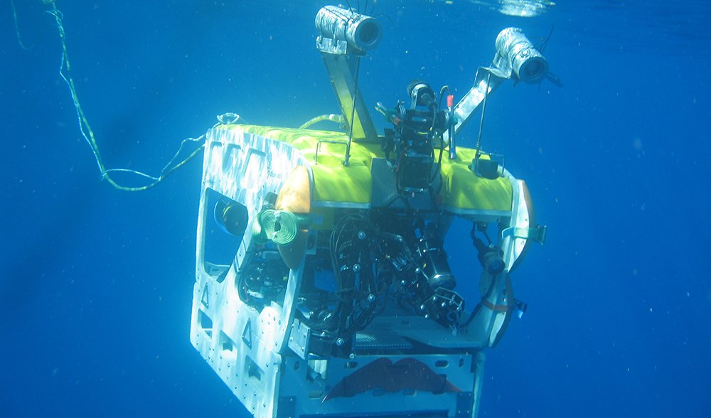 ROV coral sea