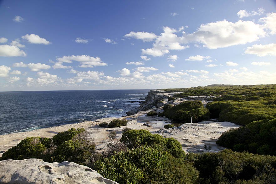 Cape Solander