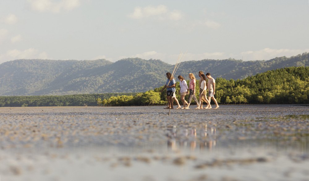 tropical north queensland aboriginal experience
