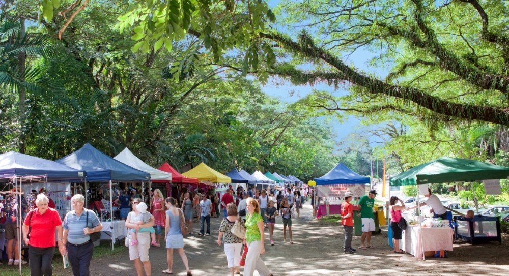 markets tropical north queensland