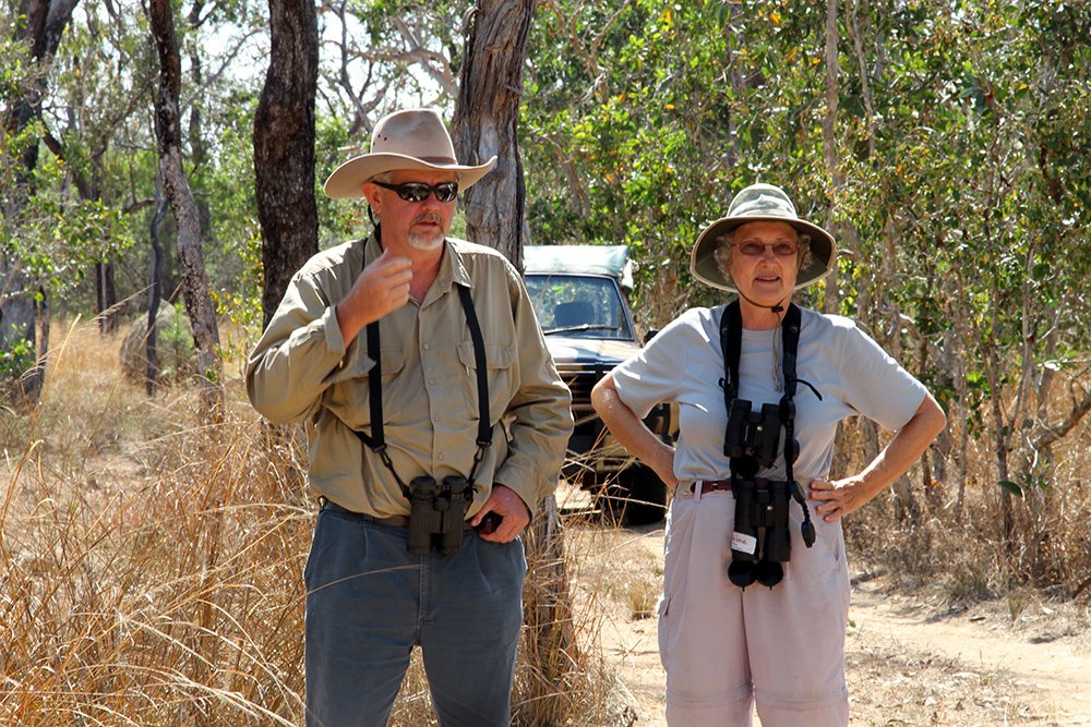 bird watching tropical north queensland