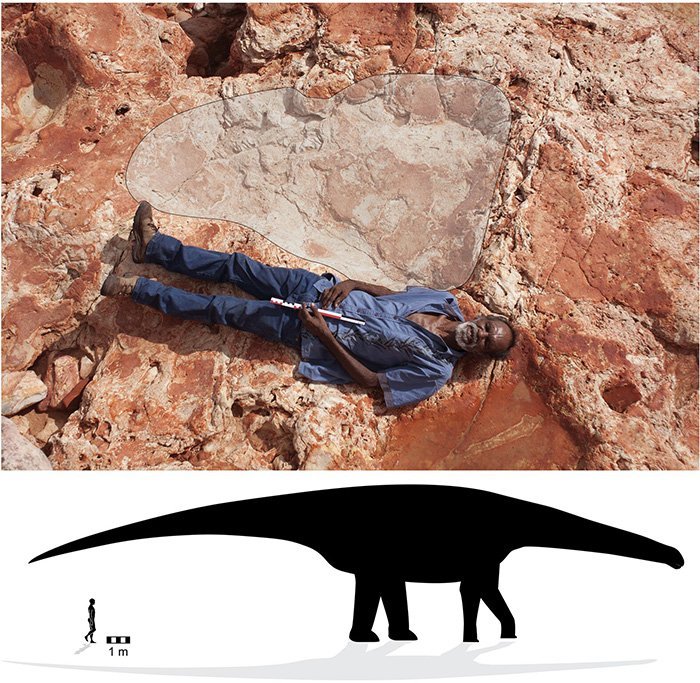 dinosaur coast