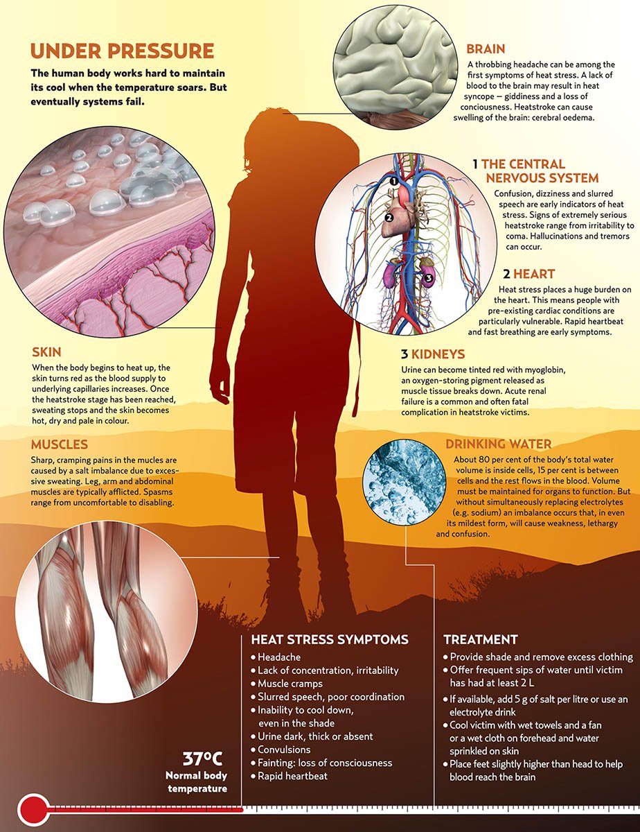 heatstroke graphic