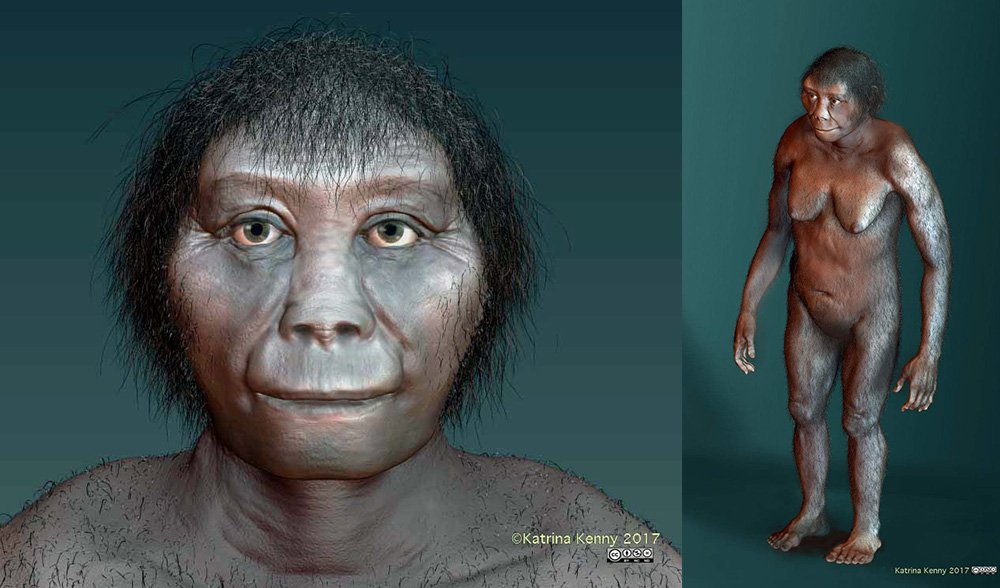 hobbit reconstruction