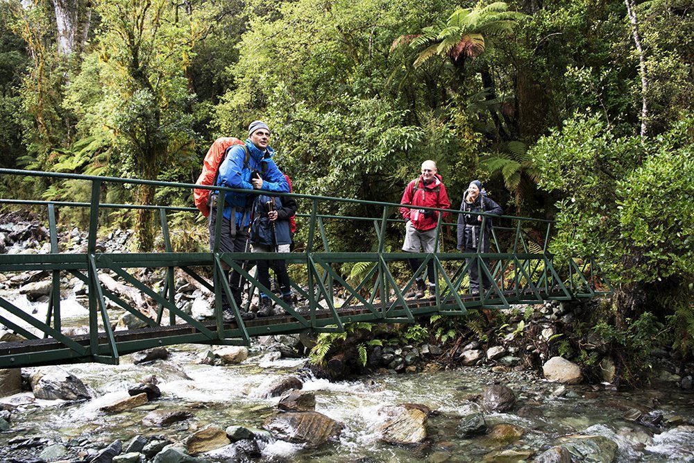 hollyford track hiking new zealand