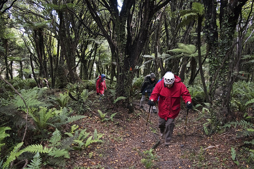 Hollyford Track hiking new zealand