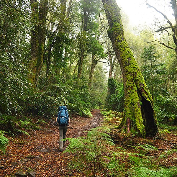 Deuter pack review barrington tops national park