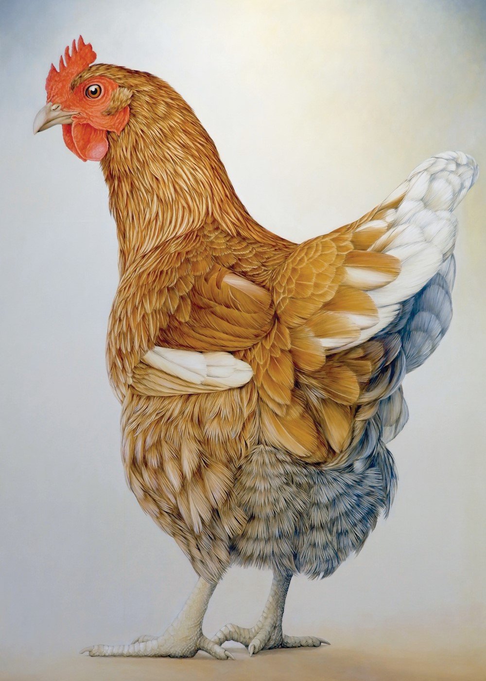 brown hen janet luxton