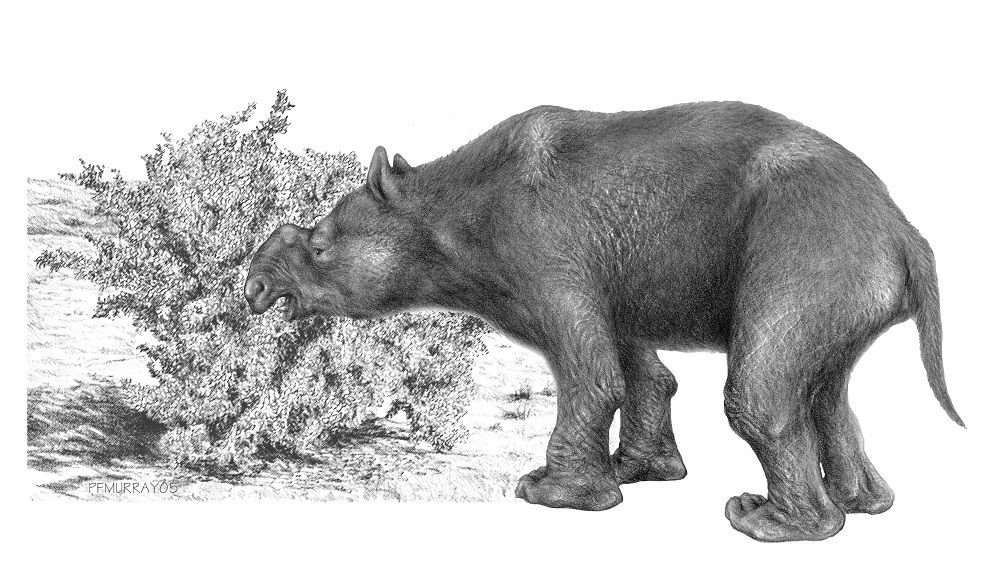 Diprotodon