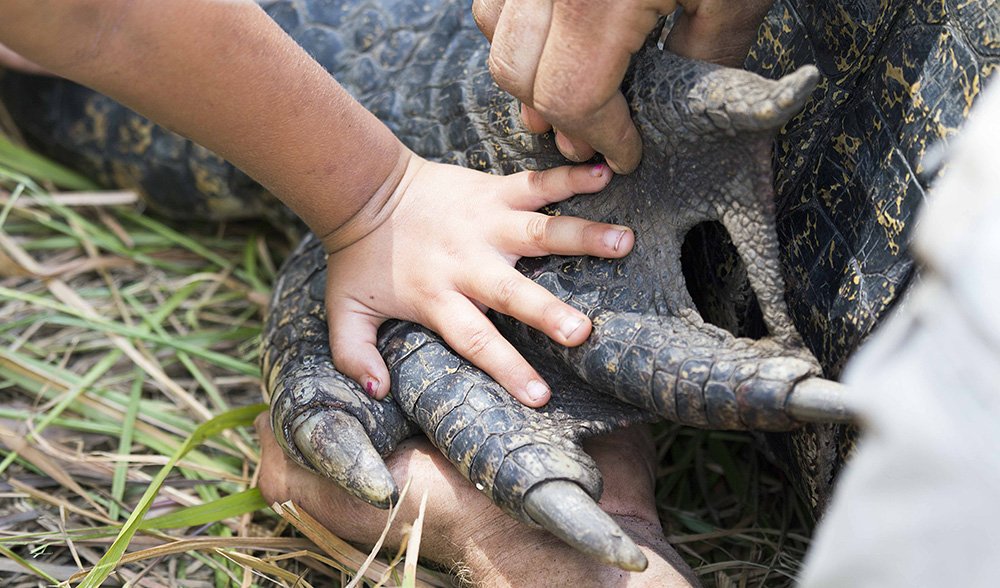 a young boys hand on a crocodile claw