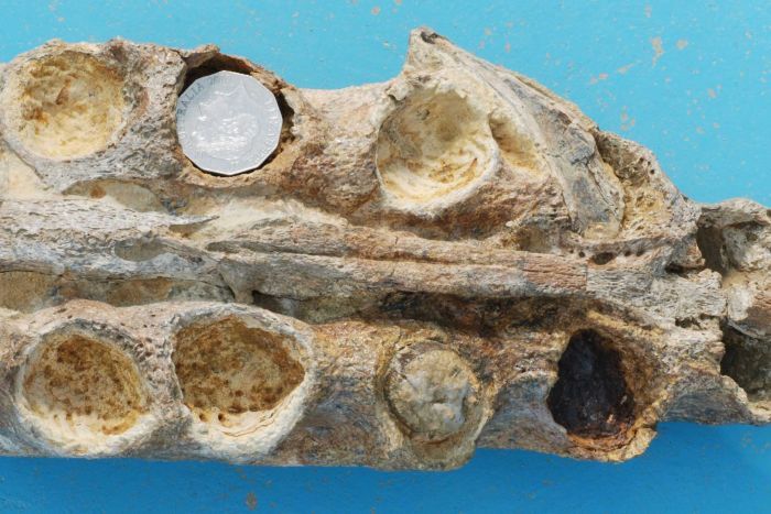 Kronosaurus