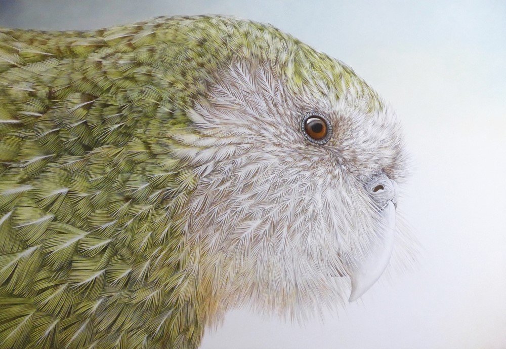 kakapo janet luxton