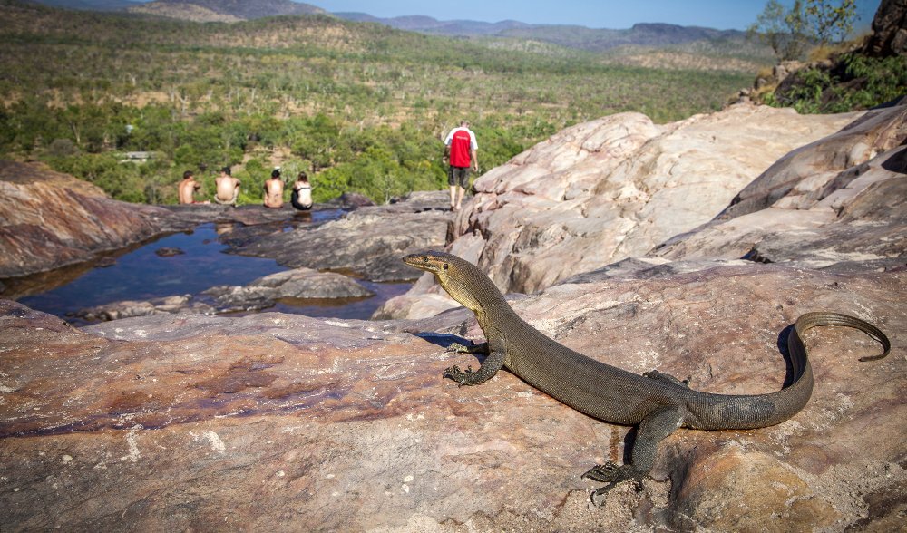Kakadu National Park road trip