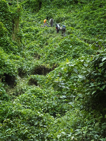 kokoda trail