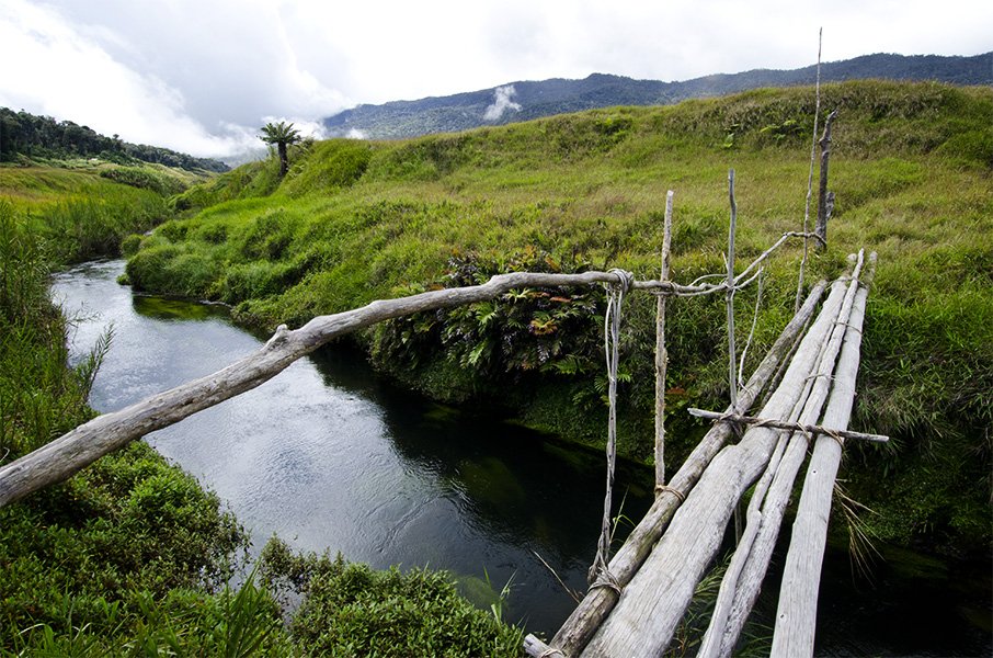 kokoda trail