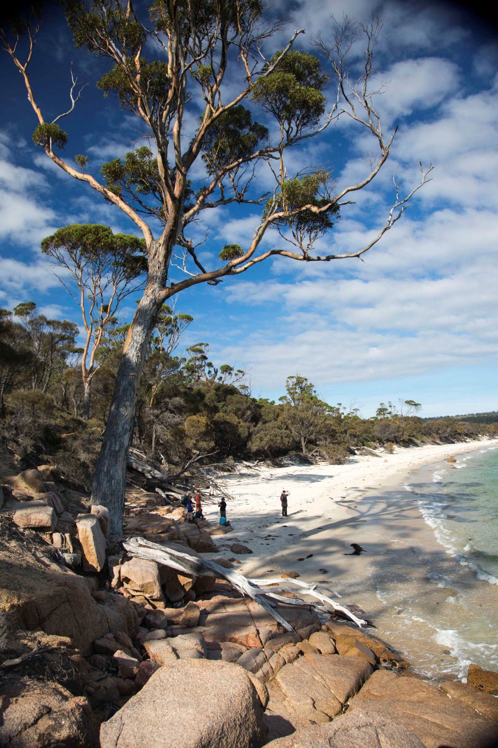 tasmania