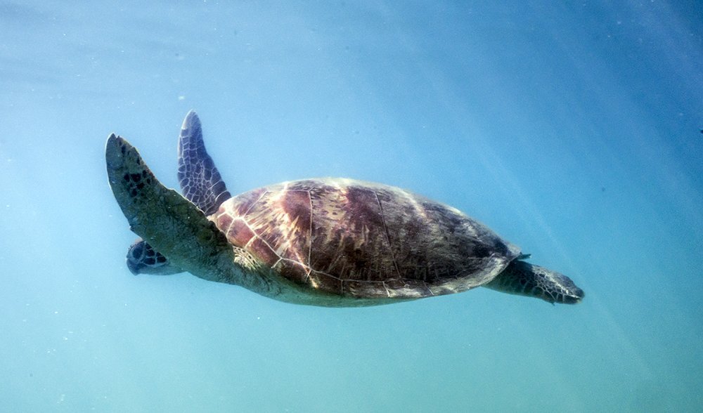 Whitsundays Queensland paddle adventure