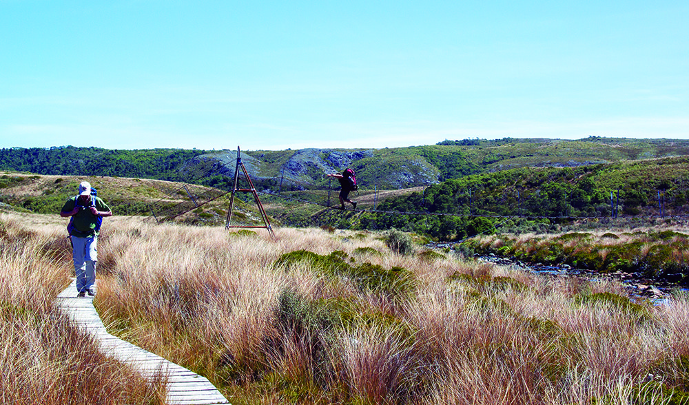 heaphy track