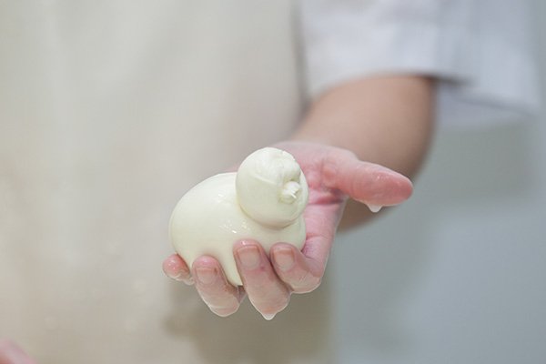 Montefiore cheese