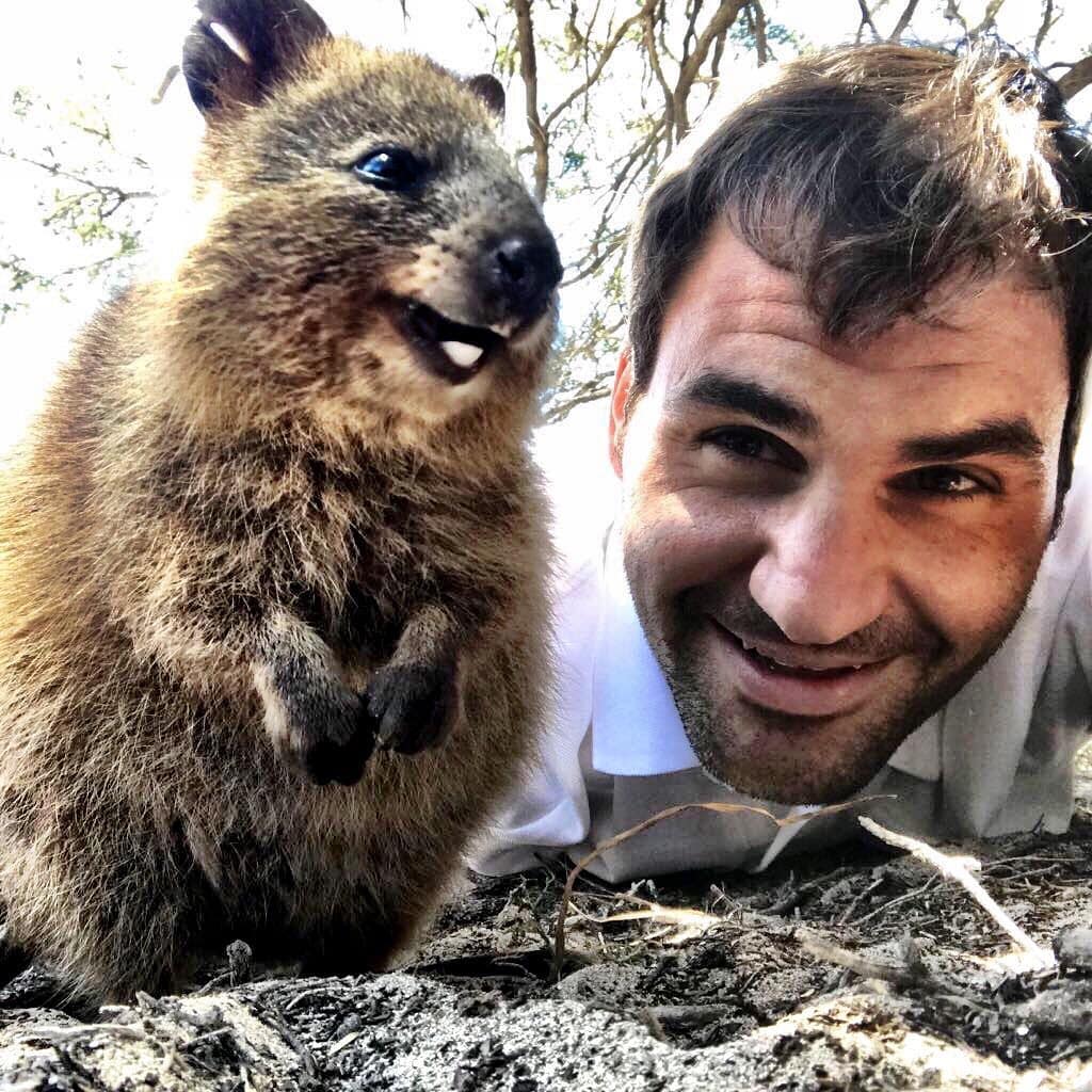 quokka selfie