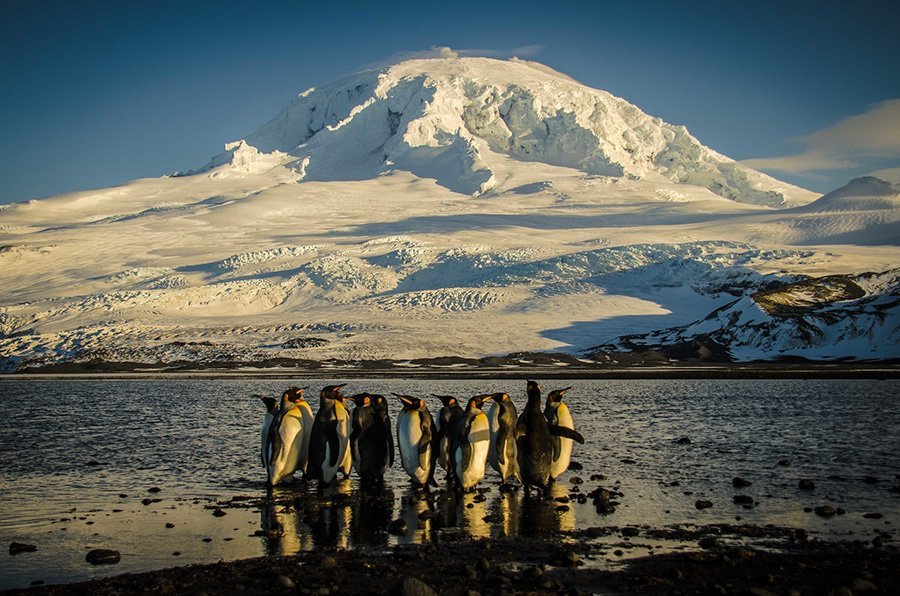 Macquarie Island