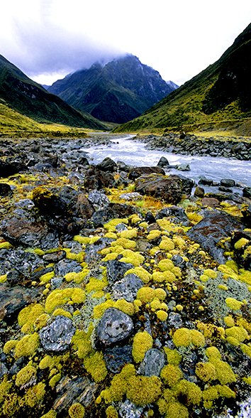 Rees-Dart Track New Zealand