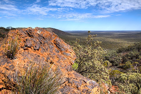 helena aurora range