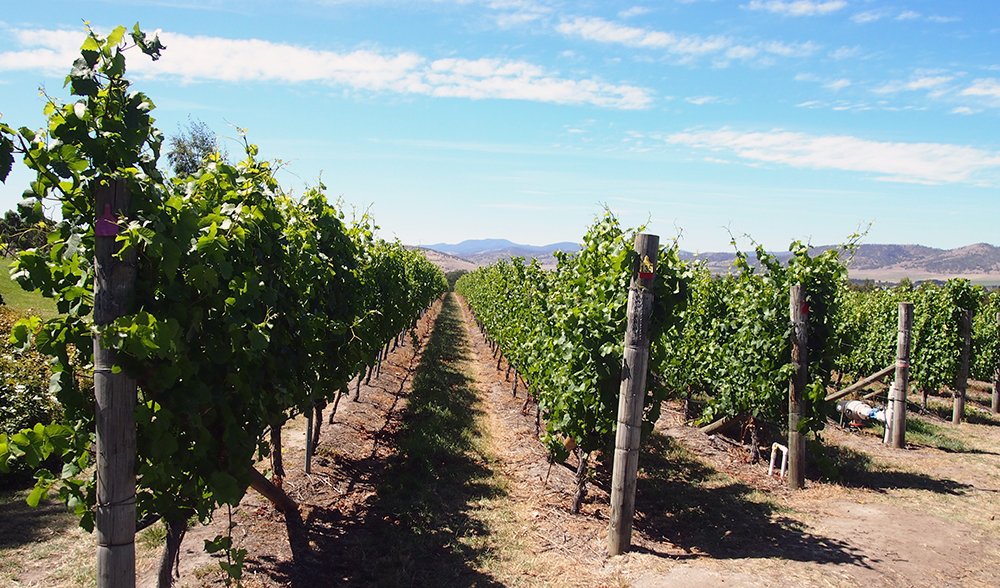 Tasmania road trip