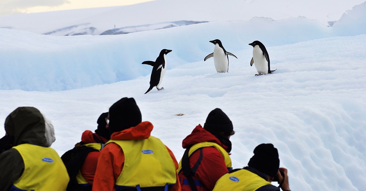 antarctica expedition aurora australian geographic