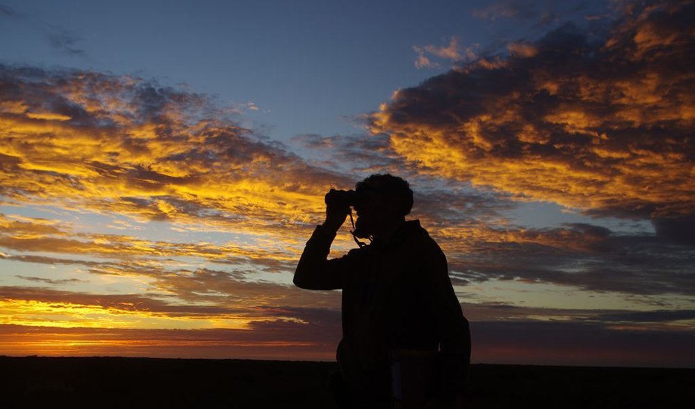 Western Ground Parrot survey western australia
