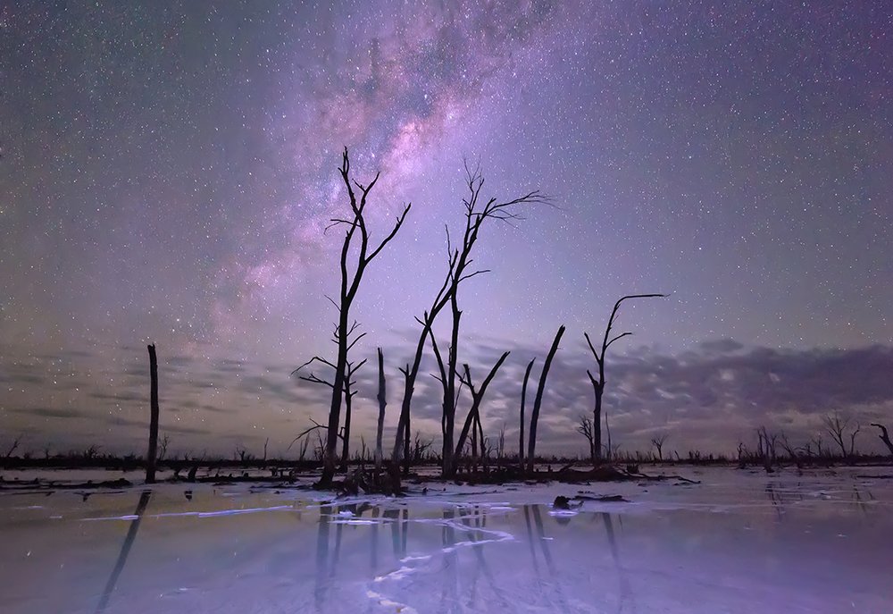 AG Reader Photo 2016 best of