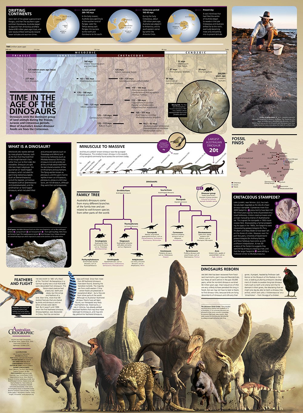 Dinosaurs of Australia