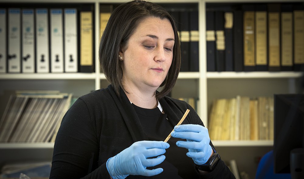 australia's oldest bone ornament