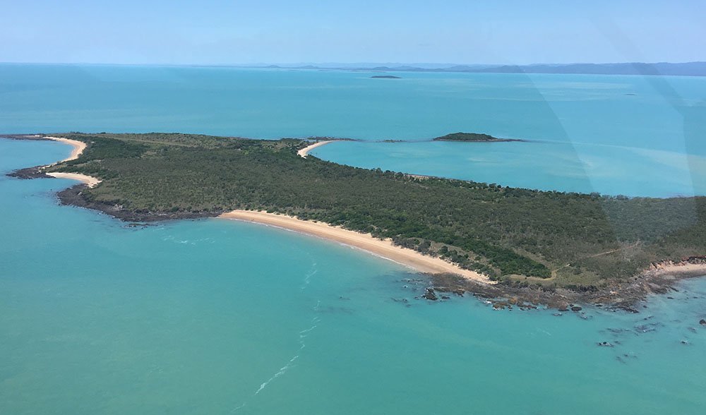avoid island