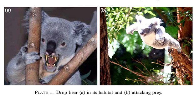 Drop Bears Funny Koalas Koala Bear T-Shirt - Drop Bear - Sticker