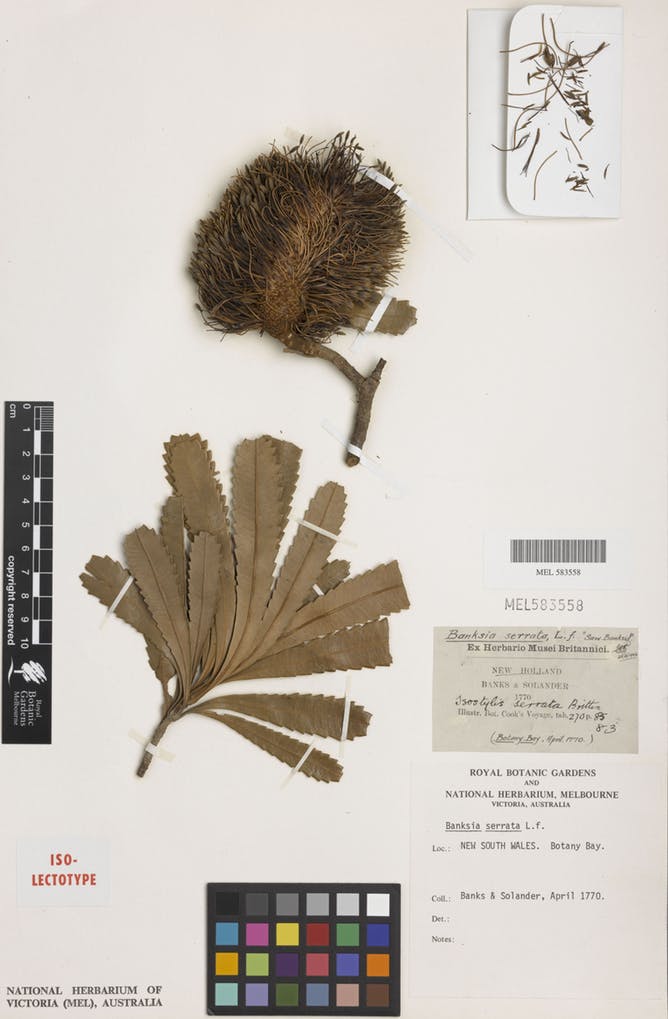 Image alt text