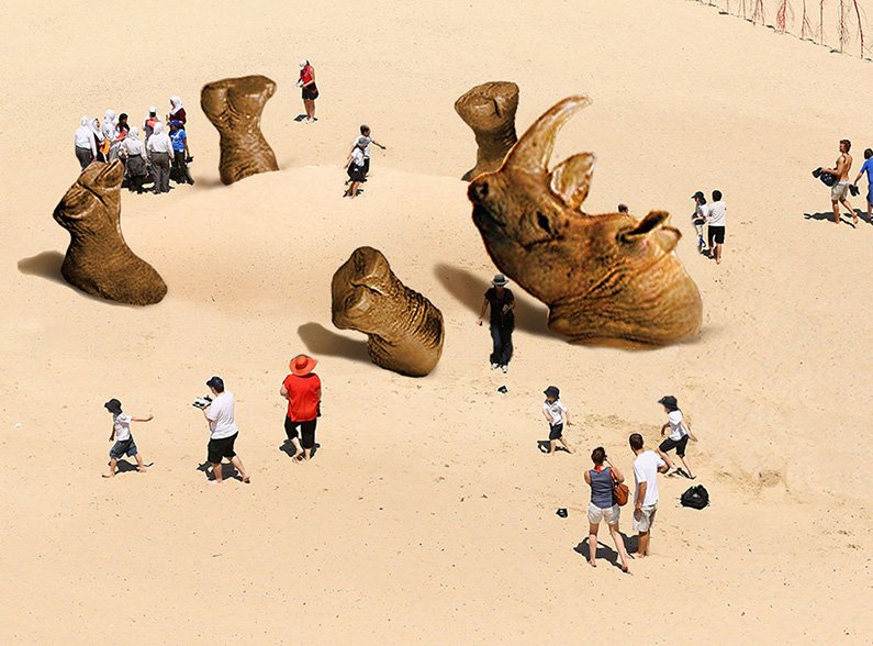 sculpture rhino sydney