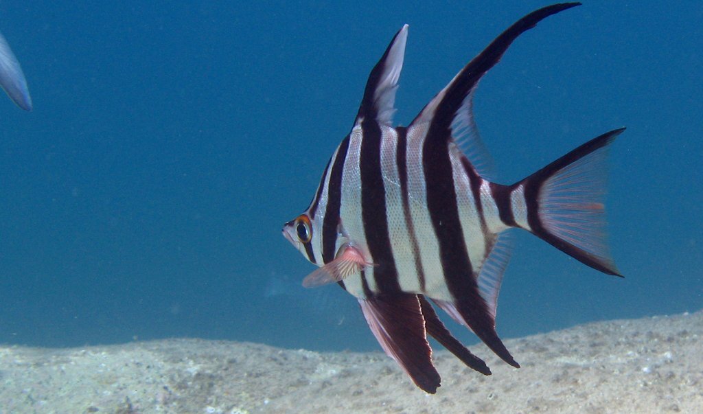 beneath the jetty