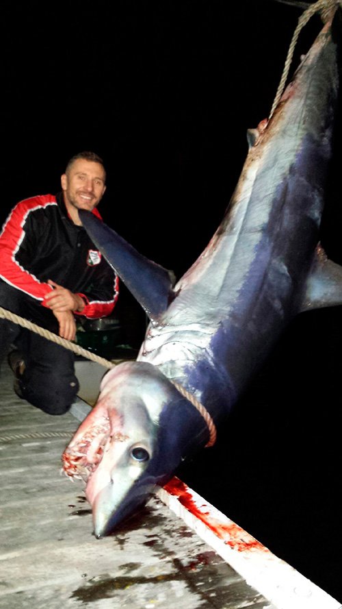 2.5 m mako shark