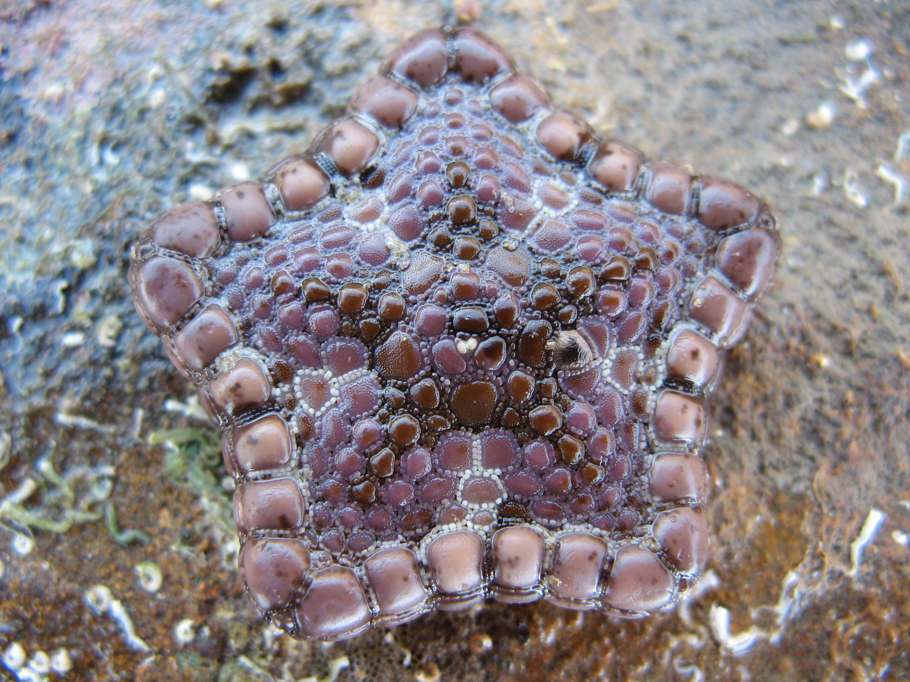 beneath the jetty