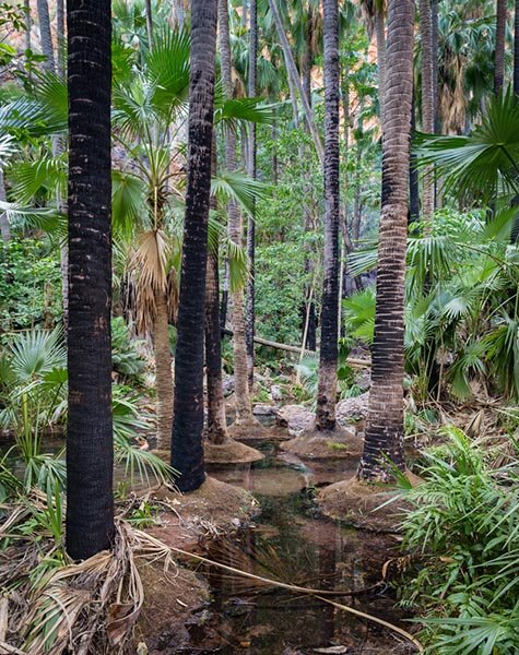 Zebedee hot springs