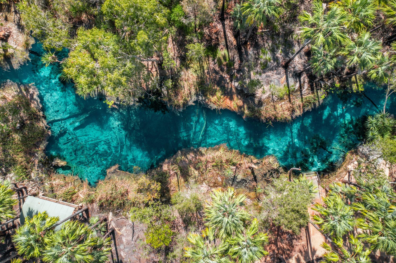 A Complete Guide To Mataranka Nt Australian Geographic