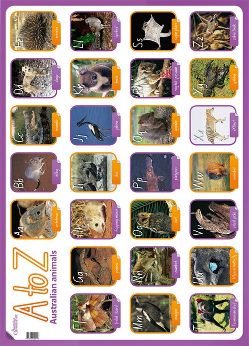 Waterfront notifikation Tag ud Australian Animals A to Z Poster with toy - Australian Geographic